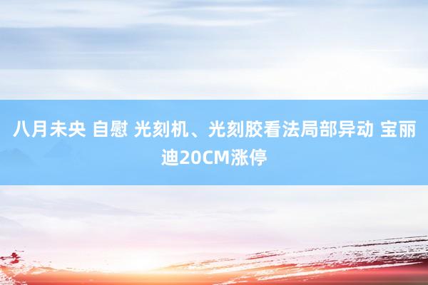 八月未央 自慰 光刻机、光刻胶看法局部异动 宝丽迪20CM涨停