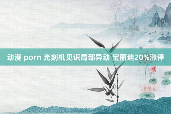 动漫 porn 光刻机见识局部异动 宝丽迪20%涨停