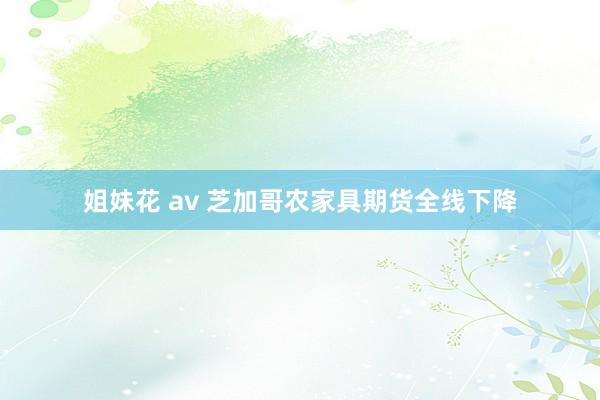 姐妹花 av 芝加哥农家具期货全线下降