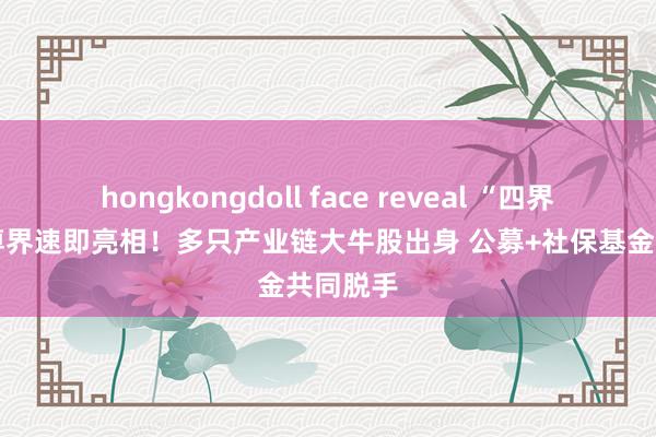 hongkongdoll face reveal “四界”邻接 尊界速即亮相！多只产业链大牛股出身 公募+社保基金共同脱手