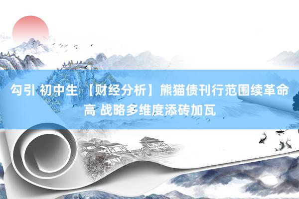 勾引 初中生 【财经分析】熊猫债刊行范围续革命高 战略多维度添砖加瓦