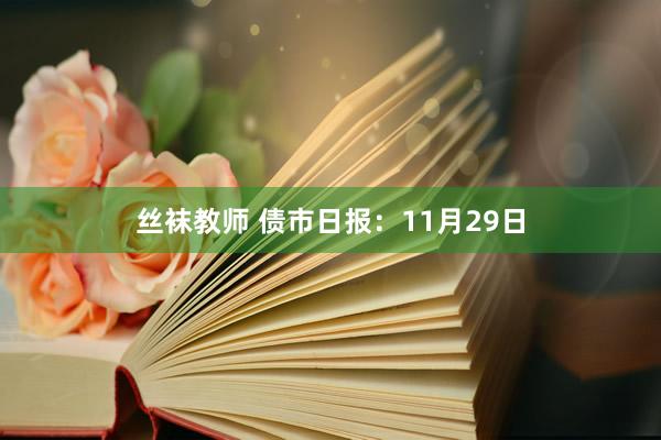 丝袜教师 债市日报：11月29日