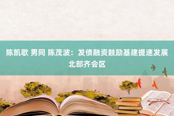 陈凯歌 男同 陈茂波：发债融资鼓励基建提速发展北部齐会区