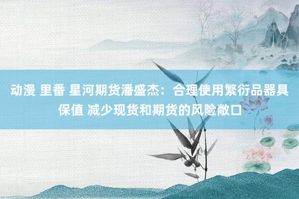 动漫 里番 星河期货潘盛杰：合理使用繁衍品器具保值 减少现货和期货的风险敞口